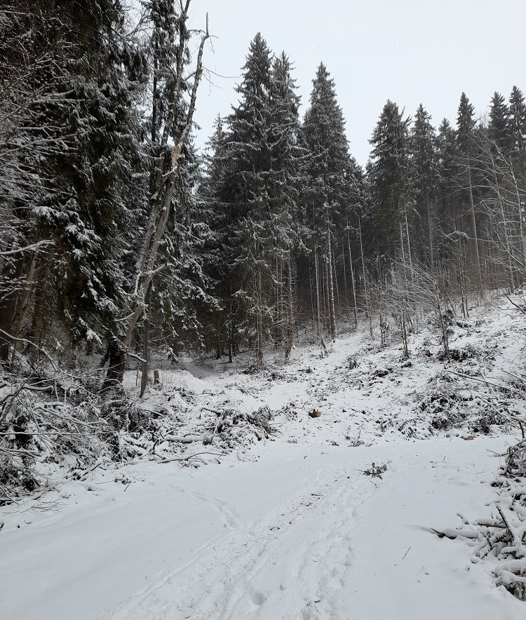 Čierny Balog 08c