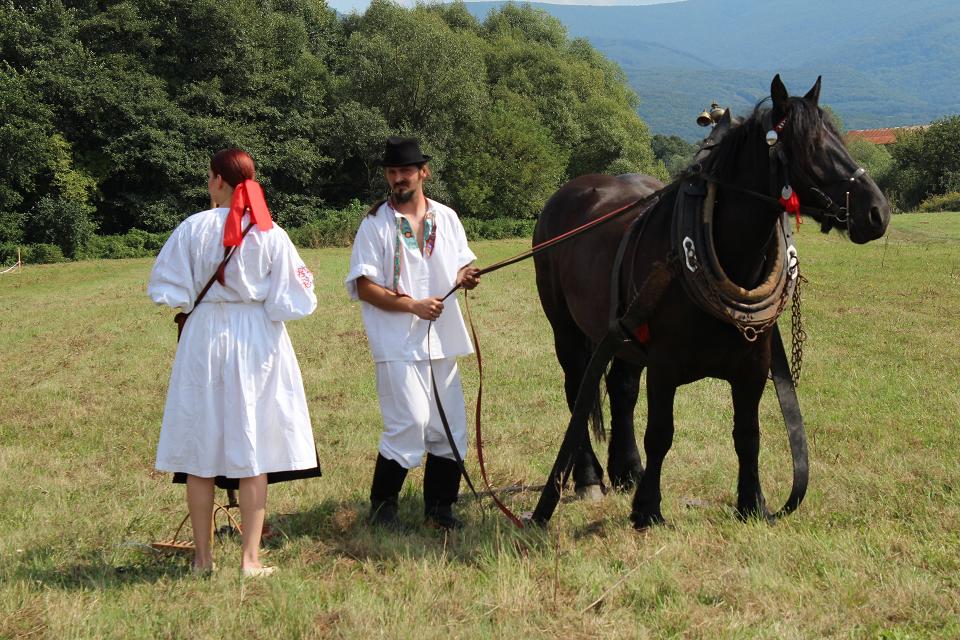 Zemianske Kostoľany 18